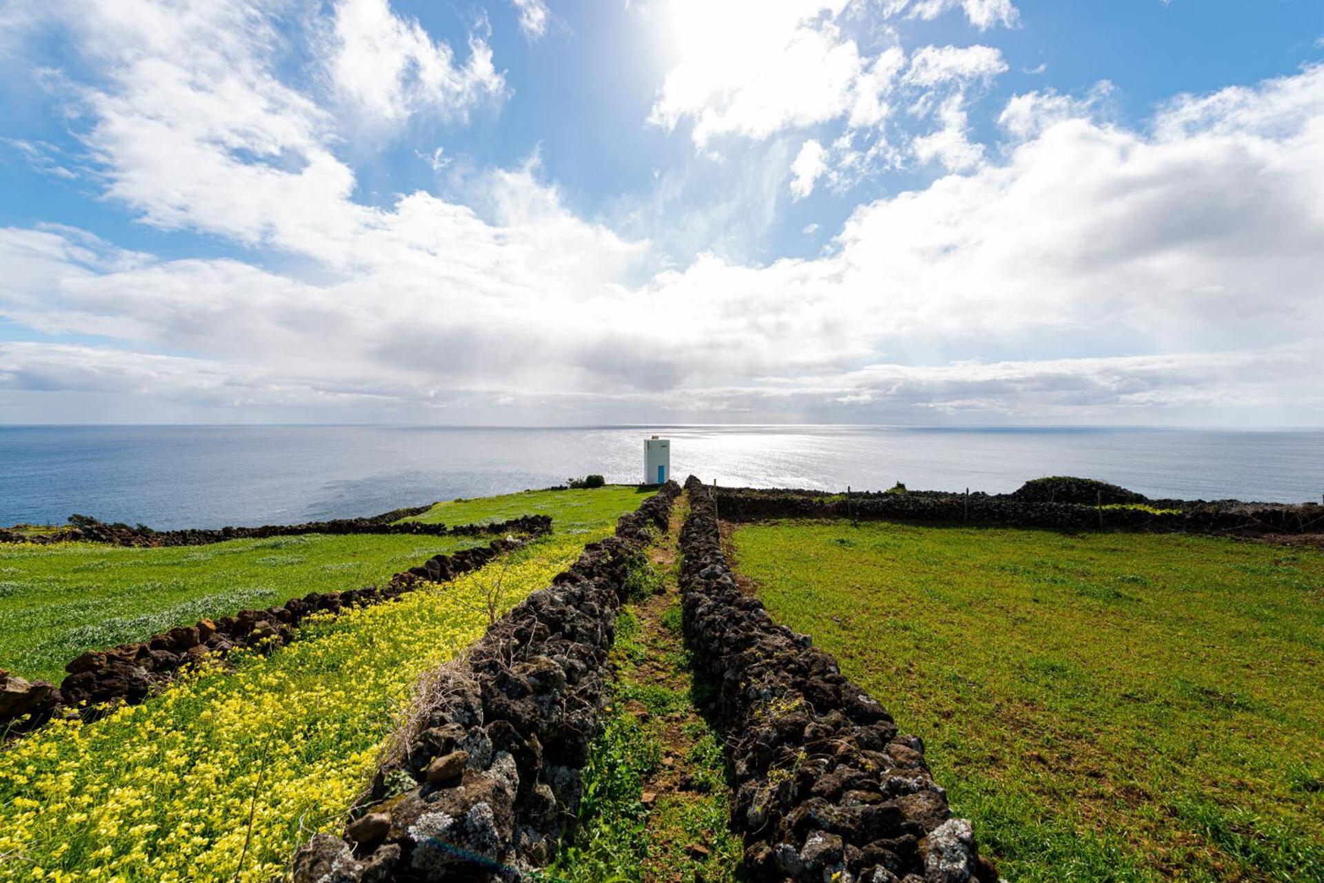 Engenho Boutique Hostel Lajes do Pico Buitenkant foto